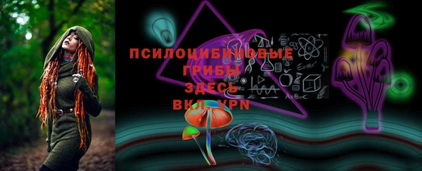 МДПВ Богородицк