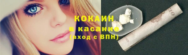 гашик Богданович