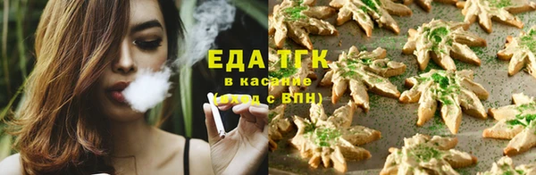 стафф Бородино