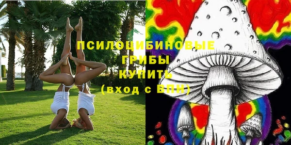 гашик Богданович
