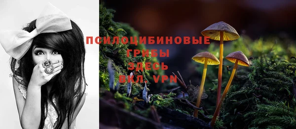 бошки Бугульма